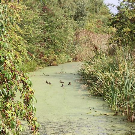 Domki Ranczo Itrich Villa Łeba Buitenkant foto